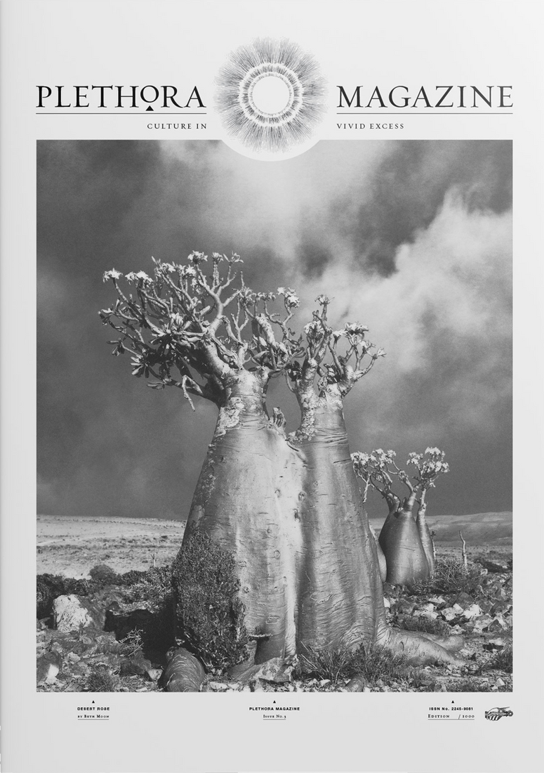 Issue #3 - Of Roots and Rhizome